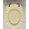 COPRIWATER SELNOVA CHAMPAGNE CER.C