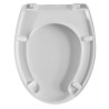 COPRIWATER TERMOINDURENTE X DISABILI