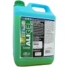 GLICOLE ANTINGELO LT.10