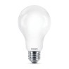 LAMPADINA CLASSIC 100W