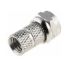 SPINOTTO TV DRITTO  F  6,5mm
