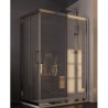 BOX PORTA PARETE CENTRALE ALLUMINIO OSSIDATO ESSENCE  DUE LATI FISSI E DUE APRIBILI 153,5/156 CRISTALLO TRASPARENTE MM.6 FUORI M