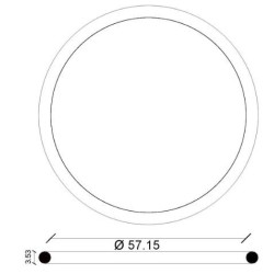 ANELLO ORING OR161 X SEDE ESTRAIBILE X CASS.INC.RAME PUCCI PUCC9096